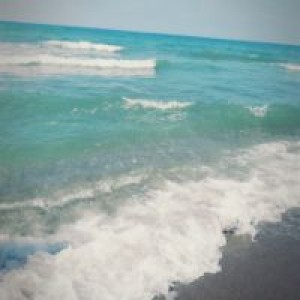 nurgul profil resmi