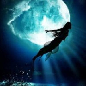 mermaid profil resmi