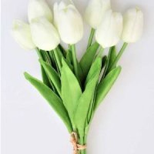Tugbaa profil resmi